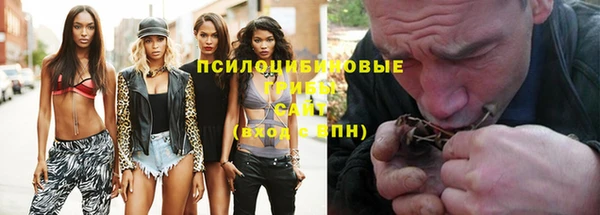 эйфоретик Богородск