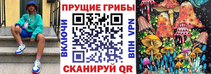 Псилоцибиновые грибы Magic Shrooms  Дрезна 